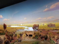 -陕西自然博物馆