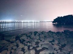 -宝安西湾红树林湿地公园