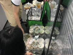 -新航道雅思托福·留学·考研培训(人民广场校区)