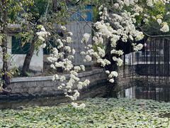 -中山公园