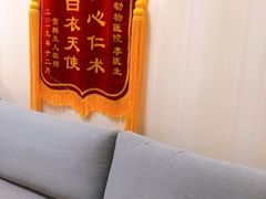 -宠爱国际动物医院· 猫科· 外科·中兽医(长白店)