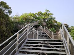 -福道