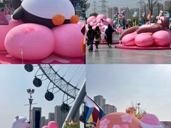-海合安武汉极地海洋公园