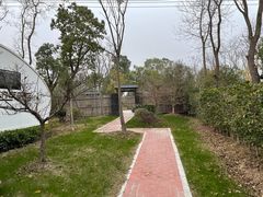 -上海海湾国家森林公园