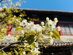 -潭柘寺景区