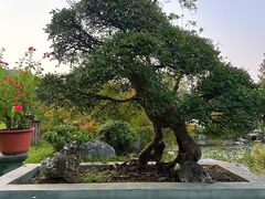 -杭州植物园