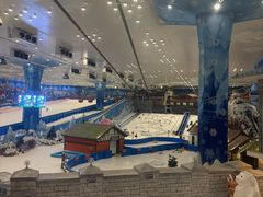 -长沙湘江欢乐雪域