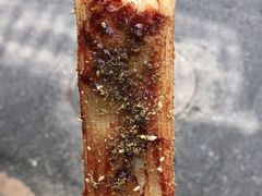 -玛马艾脆皮水磨年糕(湖北路87-89小区店)