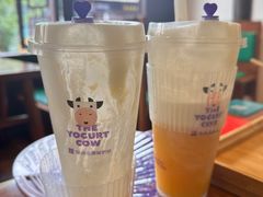 -一只酸奶牛(春熙路店)