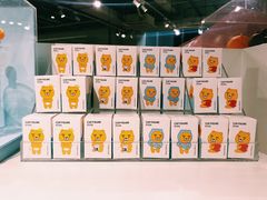 -KAKAO FRIENDS(弘大店)