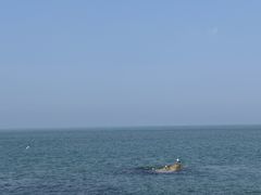 -龙爪山国家地质公园