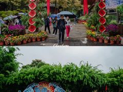 -云南民族村