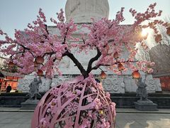 -护国法轮寺