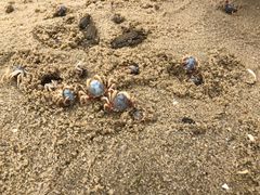 -北海金海湾红树林生态旅游区