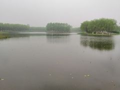 -东郊湿地公园