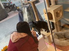 -小呆的宠物店·宠物售卖·宠物寄养(城西店)