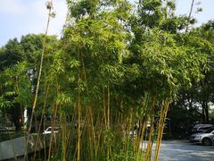 -原乡饭店·荣锦轩(建屋乐活城店)