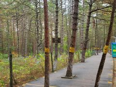 -帽儿山国家森林公园