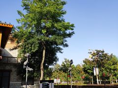 -北川巴拿恰
