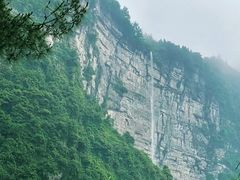 -重庆睡佛山森林公园