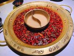-哥老官重庆美蛙鱼头(松江地中海十八哥店)