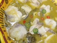 -徐记手切鲜羊肉(辽沈二街店)