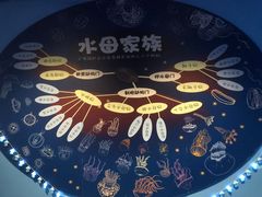 -上海海昌海洋公园