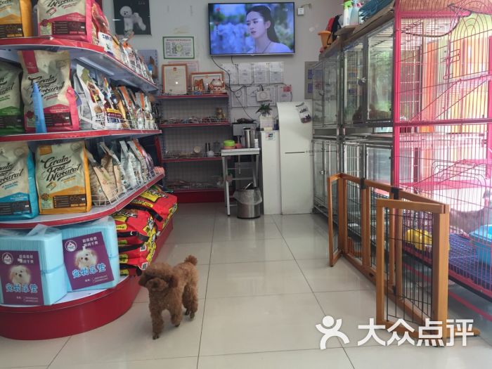 上海宠物用品店