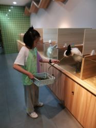 -Moni星球萌宠·小马宝莉·灵蛇·高端高阶全萌宠互动体验俱乐部(红豆国际广场店)