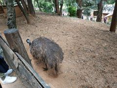-昆明动物园