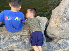 -合肥滨湖国家森林公园