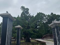-黄帝陵
