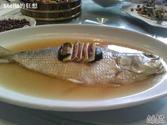鲥鱼-田园·晶品会(鹤庆路店)