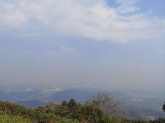 -黄埔油麻山森林公园