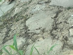 -沈阳森林动物园