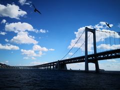 -星海湾跨海大桥