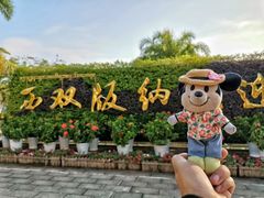 -中国科学院西双版纳热带植物园