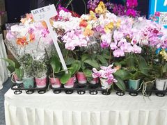 -重庆市江北嘴中央商务区中央公园