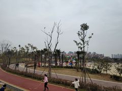 -九龙湖公园