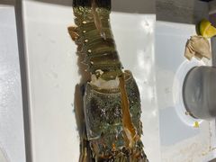 -碗中海·蒸汽海鲜·桑拿鸡(岭南天地店)