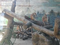 景点-北京动物园
