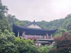 -龙井村