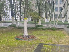 -安徽大学(龙河校区)