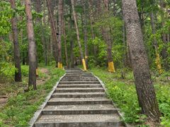 -帽儿山国家森林公园