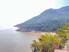 -北岐滩涂