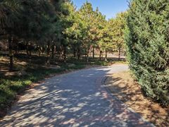 -永定河休闲森林公园