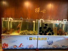 -禅e私房菜 Zen E Private Kitchen Chinese Restaurant
