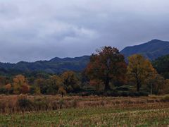 -塔川景区