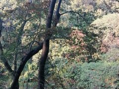 -句容茅山景区