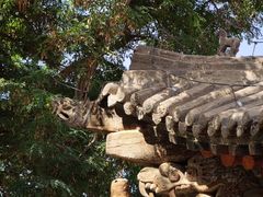 -张掖大佛寺景区